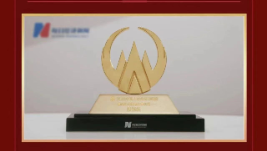 pp電子app官網(wǎng)（002219）榮獲“最具社會(huì)責(zé)任上市公司”稱號(hào)