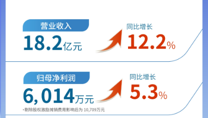 pp電子app官網(wǎng)（002219）發(fā)布2024年半年報(bào)：營(yíng)業(yè)收入及扣非歸母凈利潤(rùn)均實(shí)現(xiàn)雙位數(shù)增長(zhǎng)