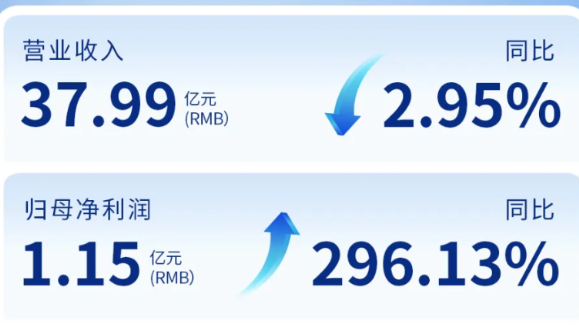 pp電子app官網(wǎng)（002219）發(fā)布2024年年度報(bào)告：歸母凈利潤增長296%