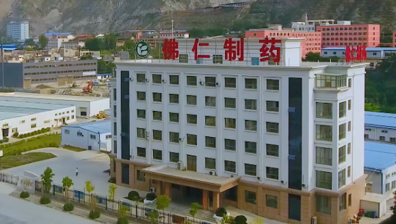 甘肅省副省長葛建團(tuán)蒞臨pp電子app官網(wǎng)（002219）旗下佛仁制藥考察調(diào)研